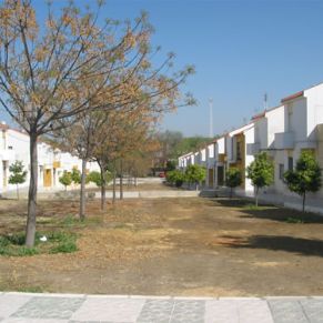 marinaleda44