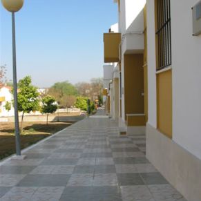 marinaleda56